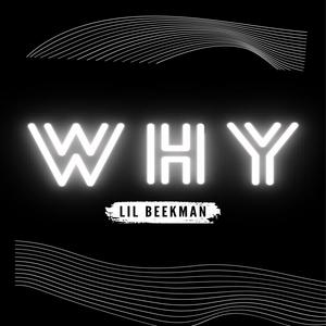 Why (Explicit)