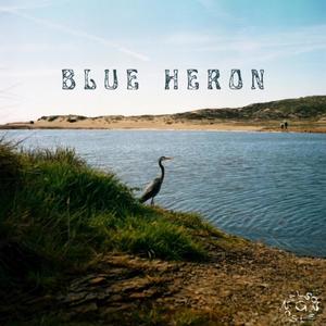 Blue Heron