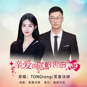 亲爱的你相思的雨 (对唱版)