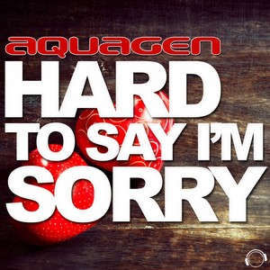 Hard To Say I'm Sorry (DJ Gollum feat. DJ Cap Remix)