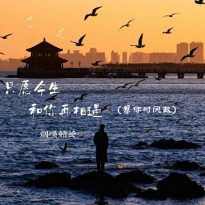 只愿今生和你再相遇 (想你时风起)封面
