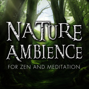 Nature Ambience for Zen and Meditation - Stress Free Relaxation Patience & Creativity