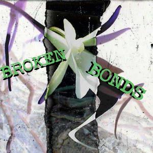 BROKEN BONDS (Explicit)