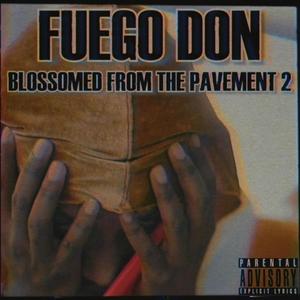 BLOSSOMED FROM THE PAVEMENT 2 (Explicit)