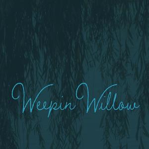 Weepin Willow