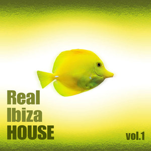 Real Ibiza House (Vol1)