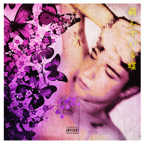 butterflies (Prod. by ayy global) [Explicit]