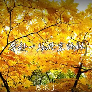 陈沉尘 - 奔赴一场北京的秋