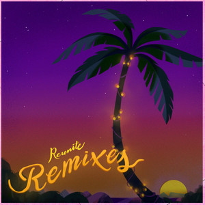 Reunite (The Remixes)