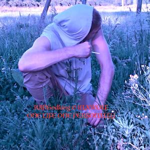 30 rounds (Explicit)