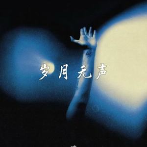 岁月无声（千杯酒已喝下去）