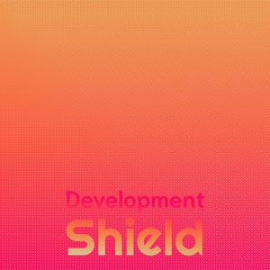 Development Shield