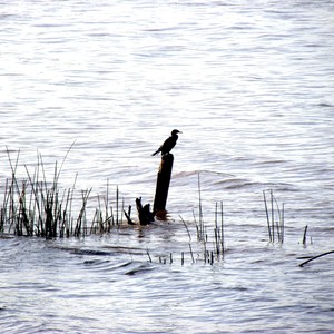 Lo Que Anhela Tu Corazón