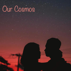 Our Cosmos