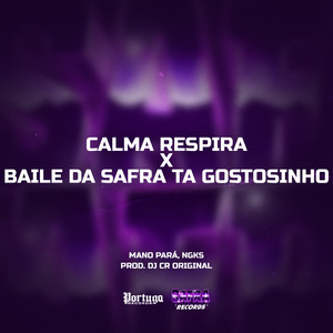 Calma Respira x Baile Da Safra Ta Gostozinho (Explicit)