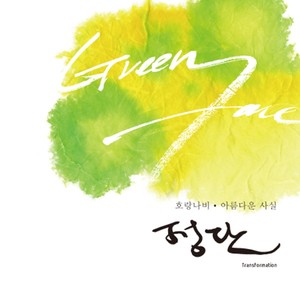 호랑나비 (凤蝶)