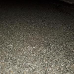 Night Lights (Explicit)