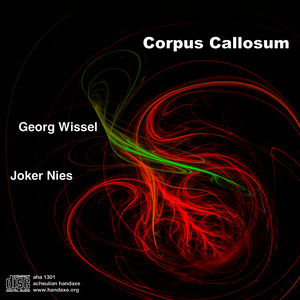 corpus callosum