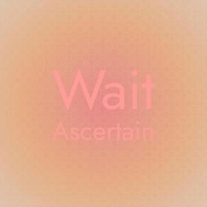 Wait Ascertain