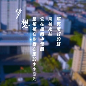凤凰花开的路口