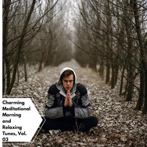 Charming Meditational Morning And Relaxing Tunes, Vol. 03