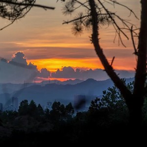 你问我为什么顽固而专一-你的耳机