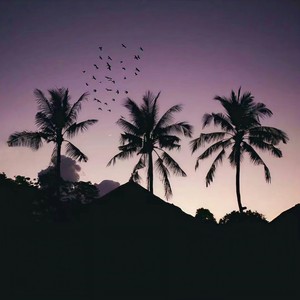 Lana Del Rey-Summertime Sadness (Mashup) (Ronghao_Fu / GRVIO remix)