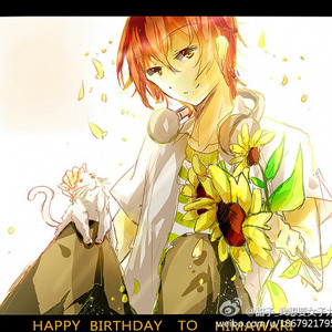 イマジネーション tv size