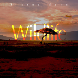 Wildlife