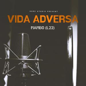 VIDA ADVERSA (feat. MAMBO (L22)