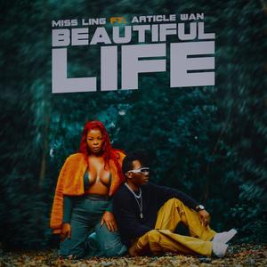 BEAUTIFUL LIFE (feat. Article wan)