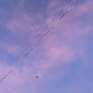 Good Life (feat. HazTik)
