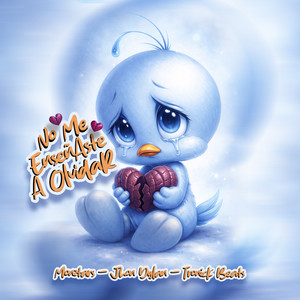 No Me Enseñaste A Olvidar