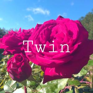 Twin