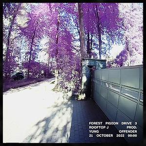 Forest Pigeon Drive 3 (Explicit)