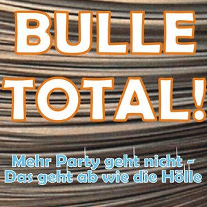 Jaaa so Feiern Wir (Das geht ab im Stadion Mix)