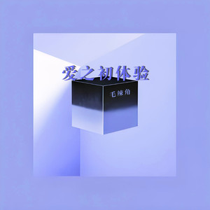 爱之初体验
