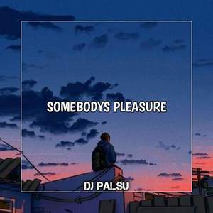 Somebodys Pleasure (Instrumental)