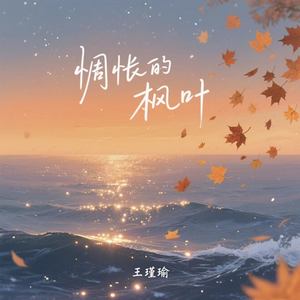 惆怅的枫叶