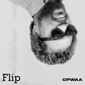 Flip