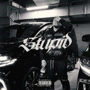 Stupid (Explicit)