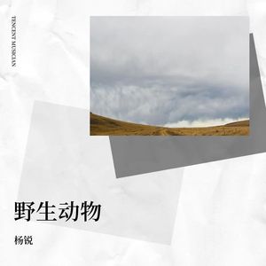 野生动物 - 杨锐封面