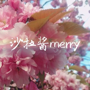 爱人啊-沙拉酱merry