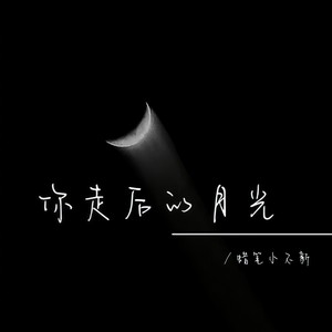 你走后的月光