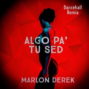 Algo Pa' Tu Sed (Dancehall Remix)