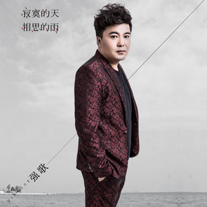 寂寞的天相思的雨 (DJ何鹏版)
