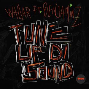 Dub Di Sound (feat. Benjaminz & Baodub) (Remix)