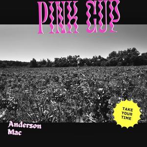 Pink Cup (Acoustic|Explicit)