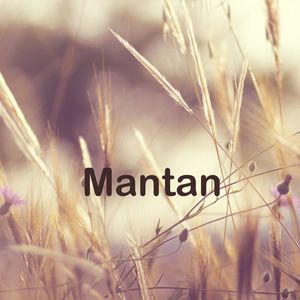 Mantan