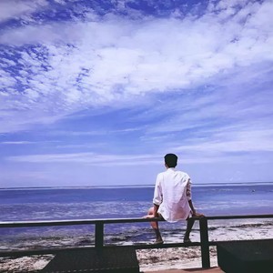 松果(2)